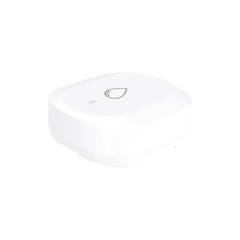 WOOX Slimme sensor voor water – Meldingen op je telefoon – R7050, foto 3