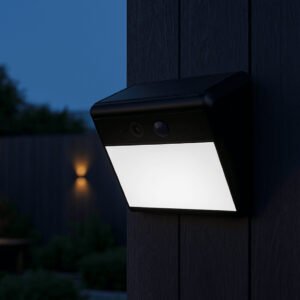 Woox – 2 in 1 solar beveiligingscamera voor buiten – 3 Megapixels – Met supergroot LED lichtpaneel – R8422